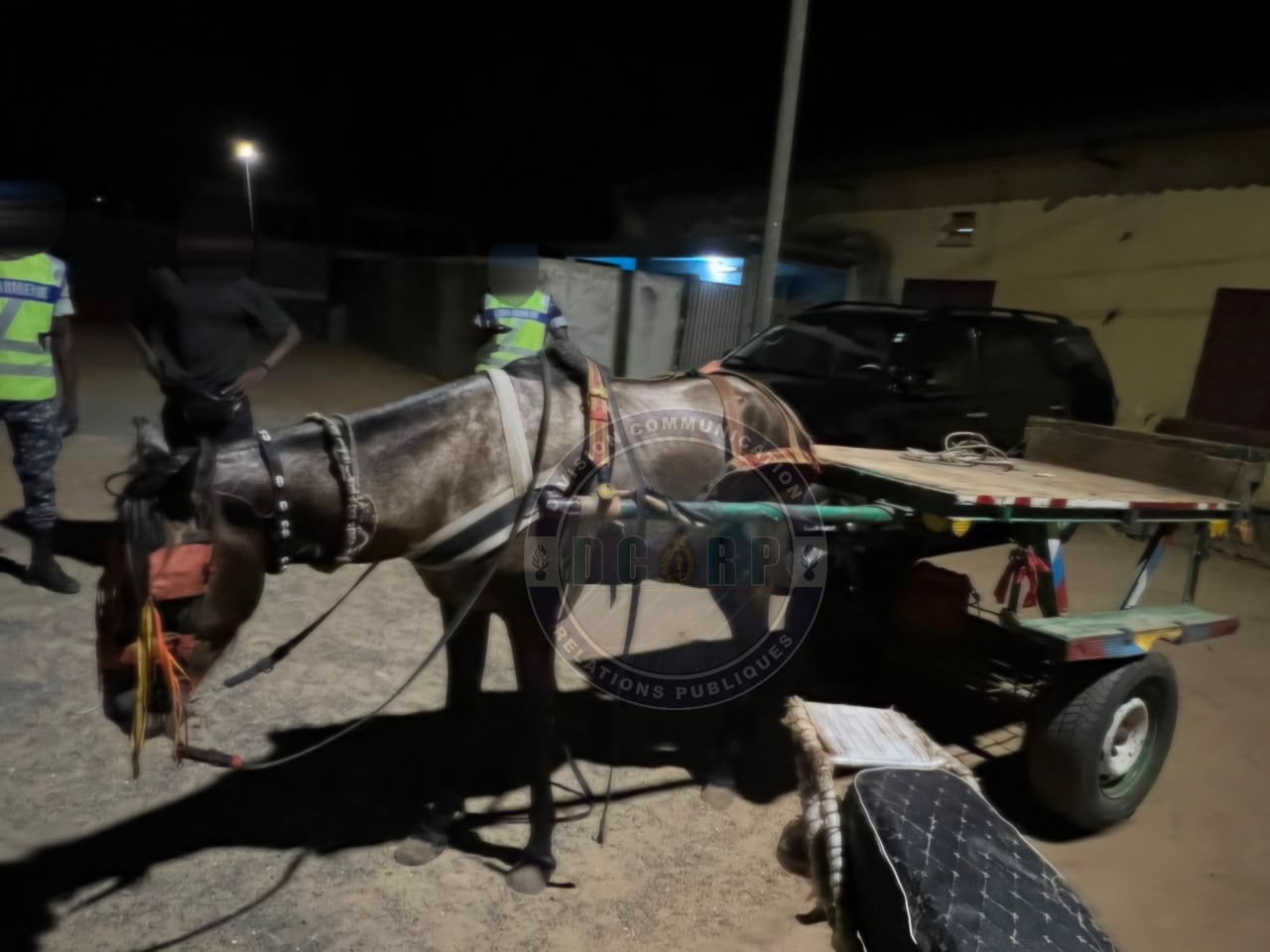 Lutte contre le trafic de drogue : 360 kg de chanvre indien saisis à Joal - Image 2